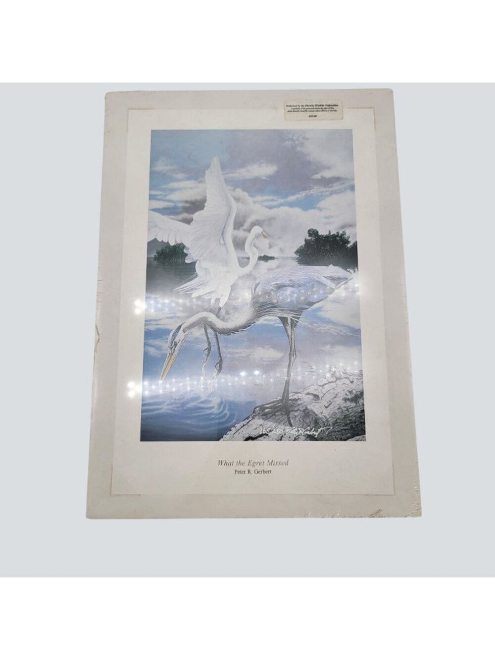 "What The Egret Missed" Wildlife Art Print By Peter R. Gerbert